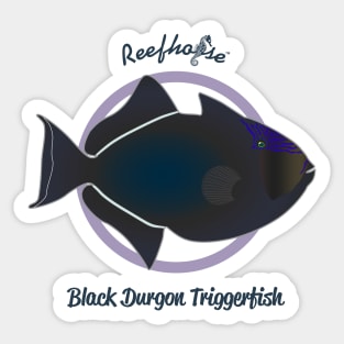 Black Durgon Triggerfish Sticker